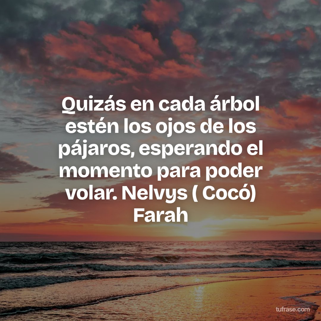Quizás en cada árbol estén los ojos de los pájaros, esperando el momento para poder volar. Nelvys ( Cocó) Farah