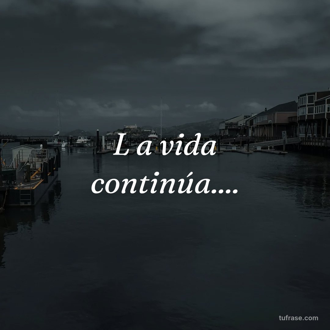 L a vida continúa....