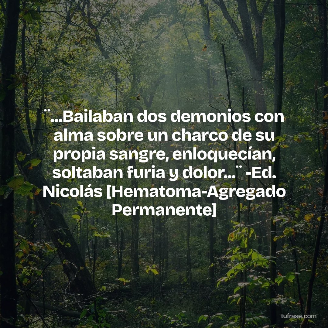 ¨...Bailaban dos demonios con alma sobre un charco de su propia sangre, enloquecían, soltaban furia y dolor...¨ -Ed. Nicolás [Hematoma-Agregado Permanente]