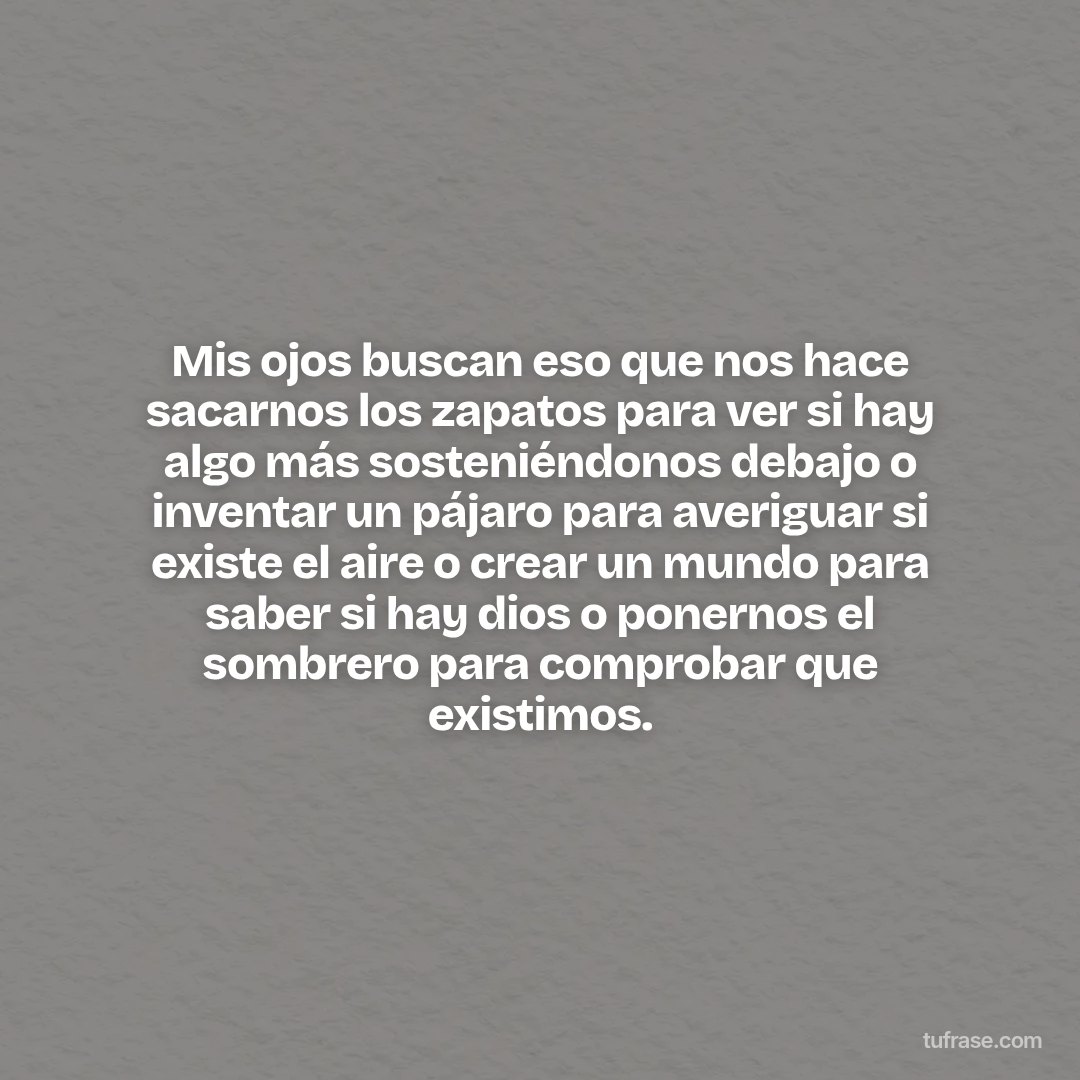 Mis ojos buscan eso que nos hace sacarnos los zapatos para ver si hay algo más sosteniéndonos debajo o inventar un pájaro para averiguar si existe el aire o crear un mundo para saber si hay dios o ponernos el sombrero para comprobar que existimos.