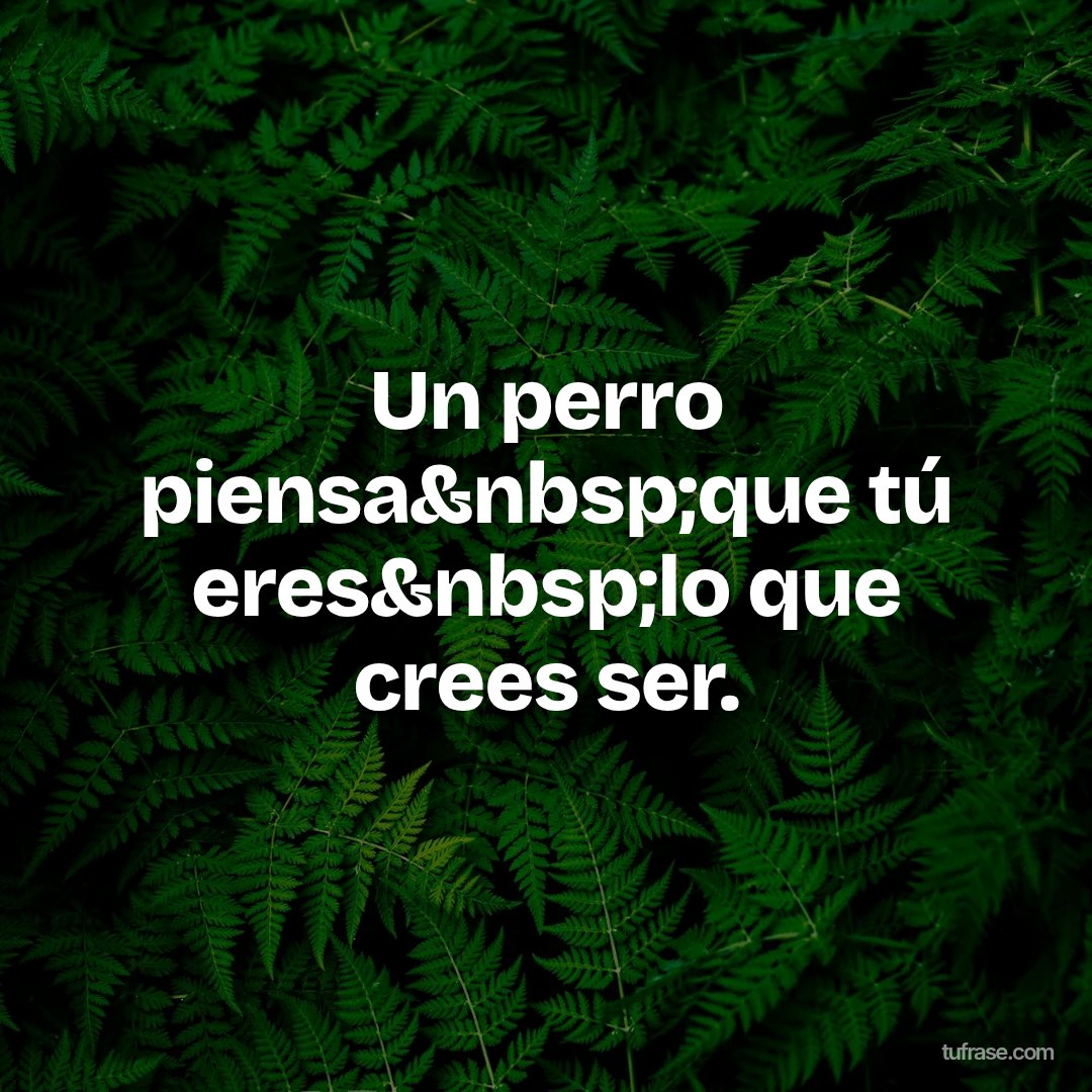 Un perro piensa&nbsp;que tú eres&nbsp;lo que crees ser.