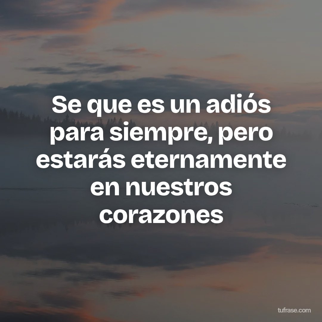 Se que es un adiós para siempre, pero estarás eternamente en nuestros corazones