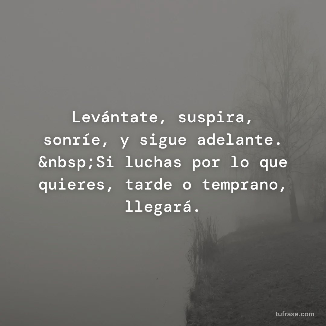 Levántate, suspira, sonríe, y sigue adelante. &nbsp;Si luchas por lo que quieres, tarde o temprano, llegará.
