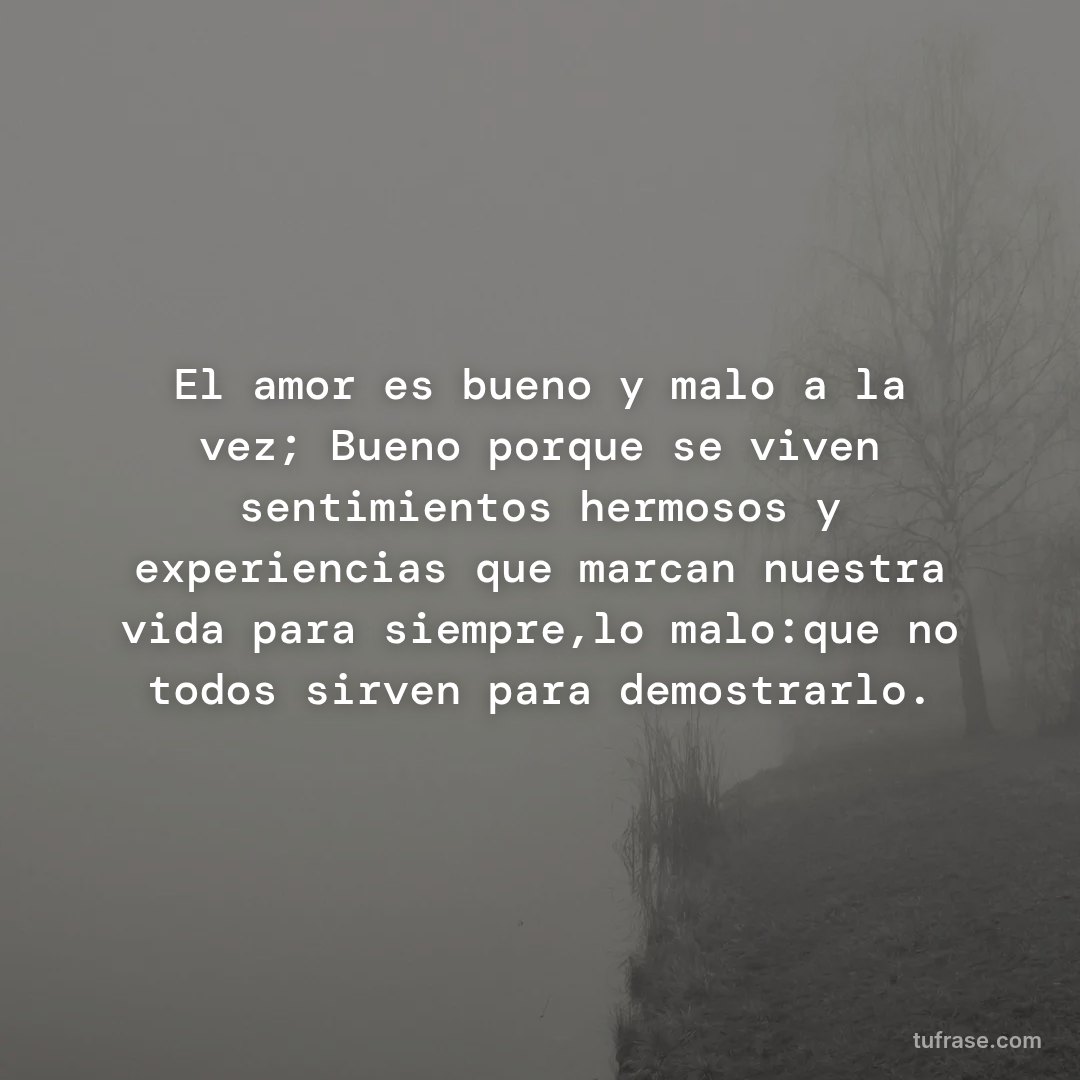 El amor es bueno y malo a la vez; Bueno porque se viven sentimientos hermosos y experiencias que marcan nuestra vida para siempre,lo malo:que no todos sirven para demostrarlo.