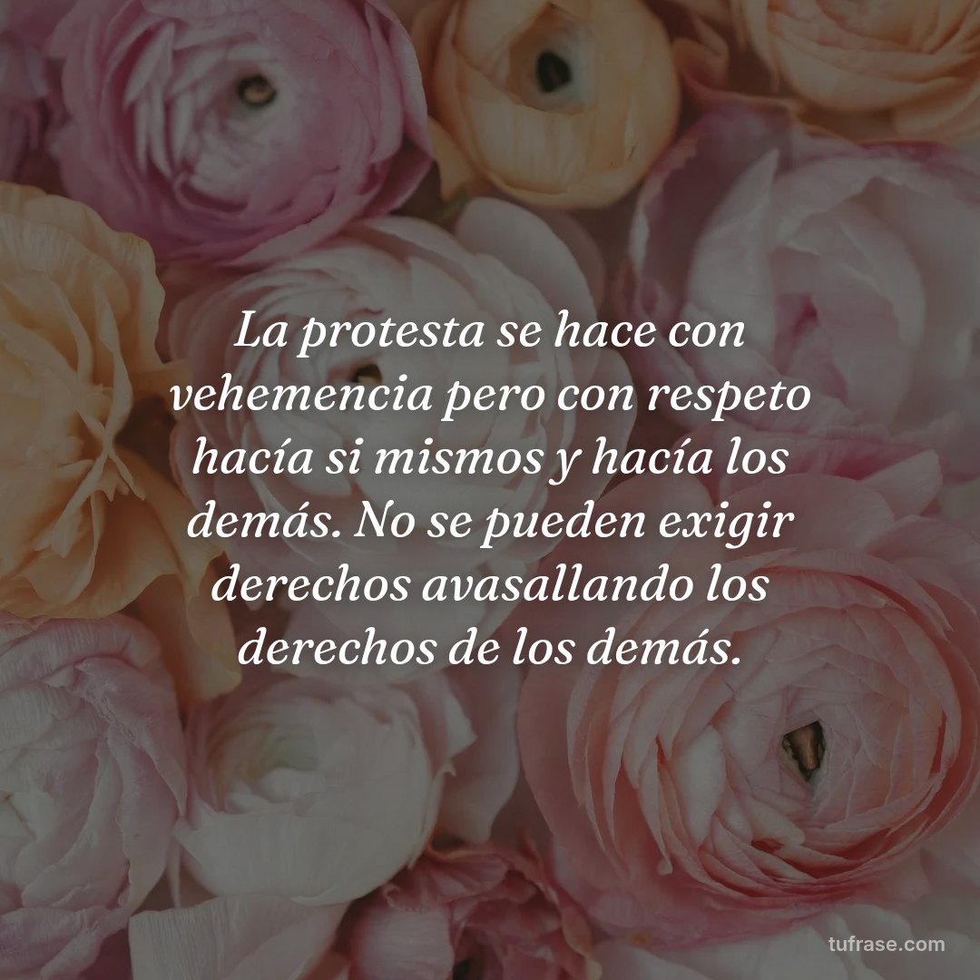 La protesta se hace con vehemencia pero con respeto hacía si mismos y hacía los demás. No se pueden exigir derechos avasallando los derechos de los demás.