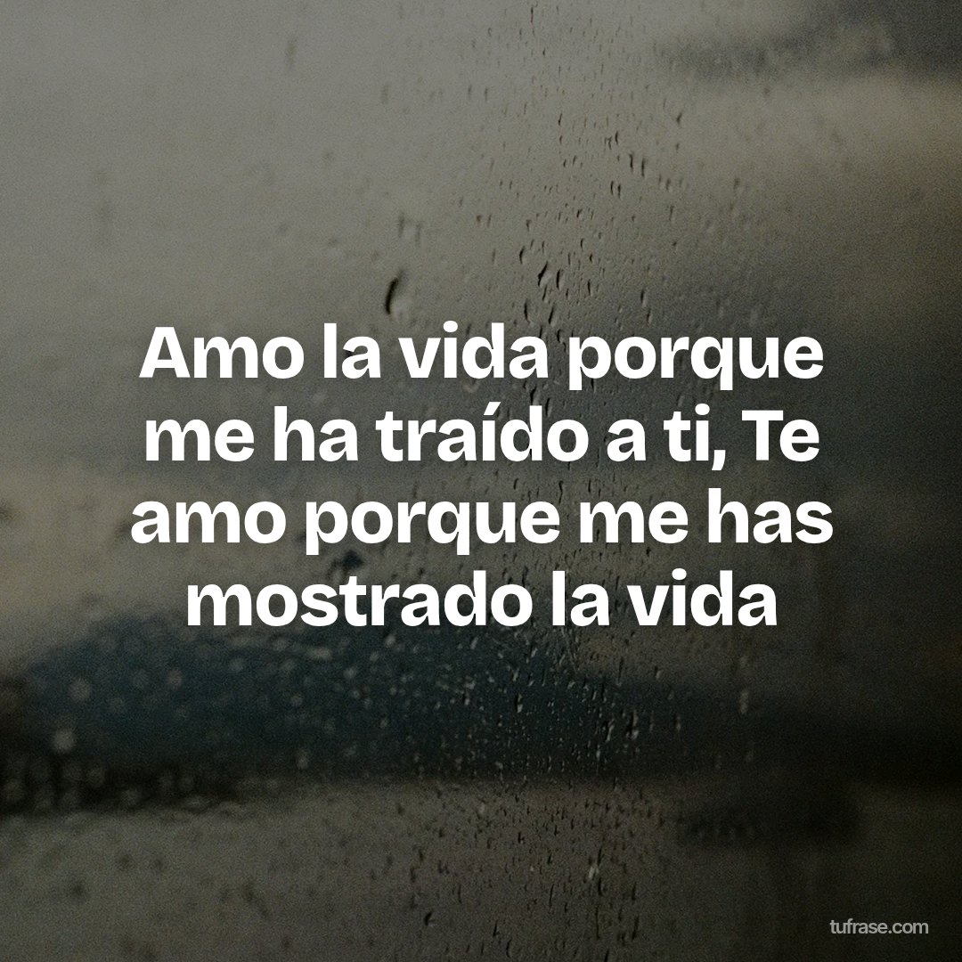 Amo la vida porque me ha traído a ti, Te amo porque me has mostrado la vida