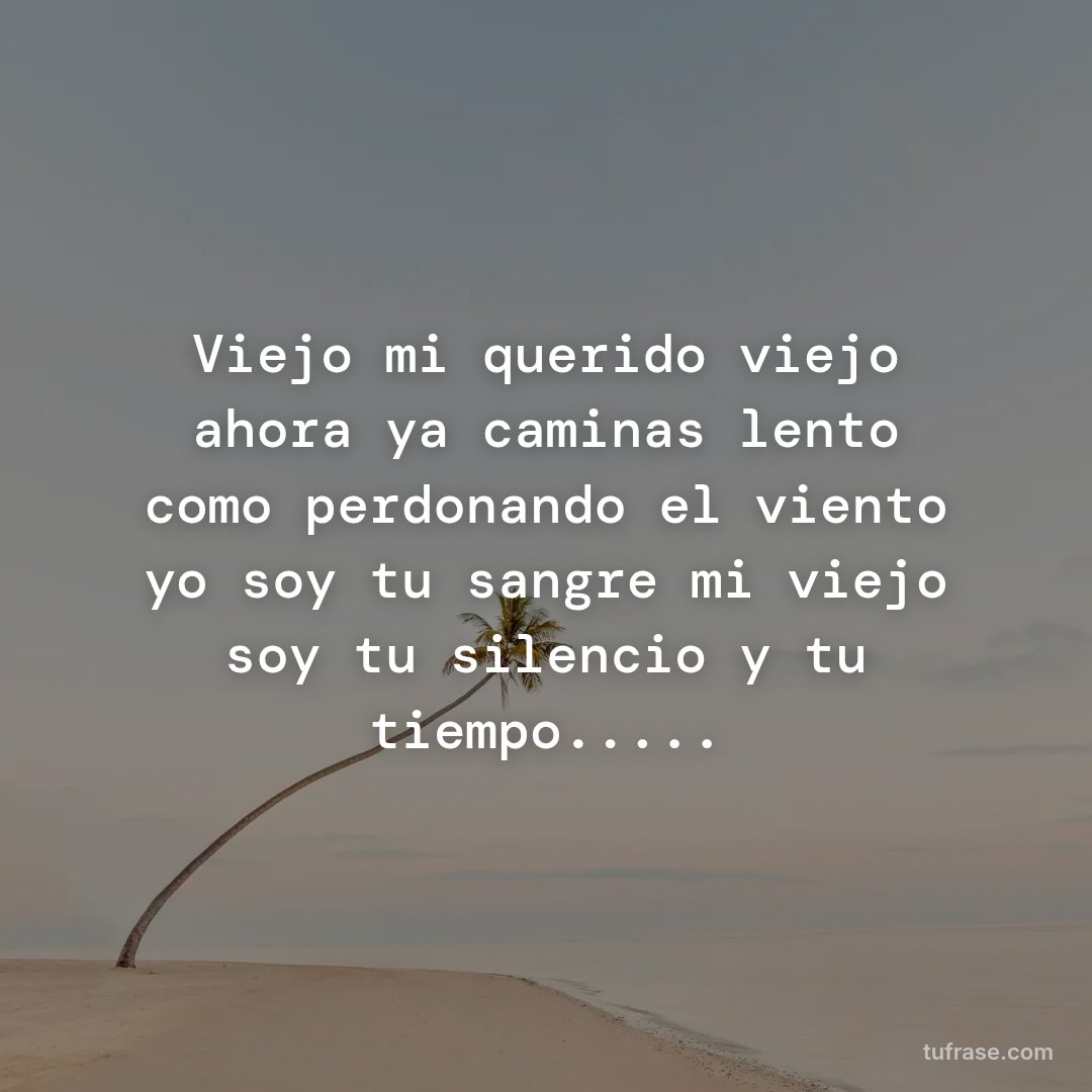 Viejo mi querido viejo ahora ya caminas lento como perdonando el viento yo soy tu sangre mi viejo soy tu silencio y tu tiempo.....