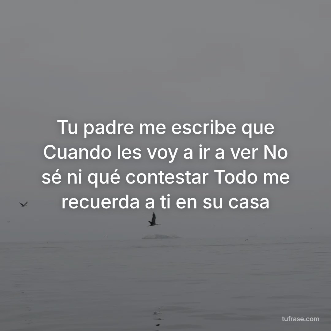Tu padre me escribe que Cuando les voy a ir a ver No sé ni qué contestar Todo me recuerda a ti en su casa