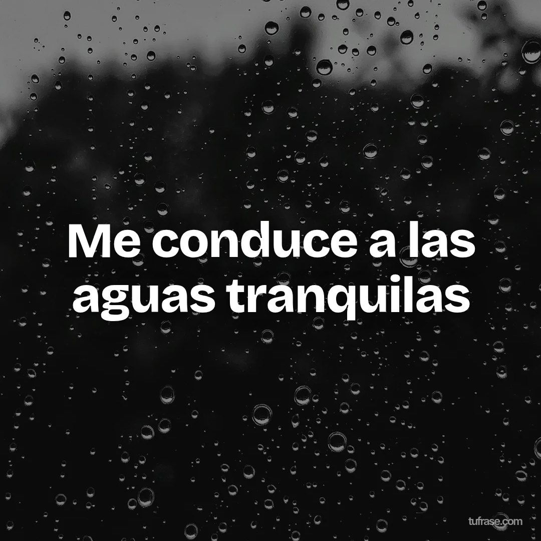 Me conduce a las aguas tranquilas