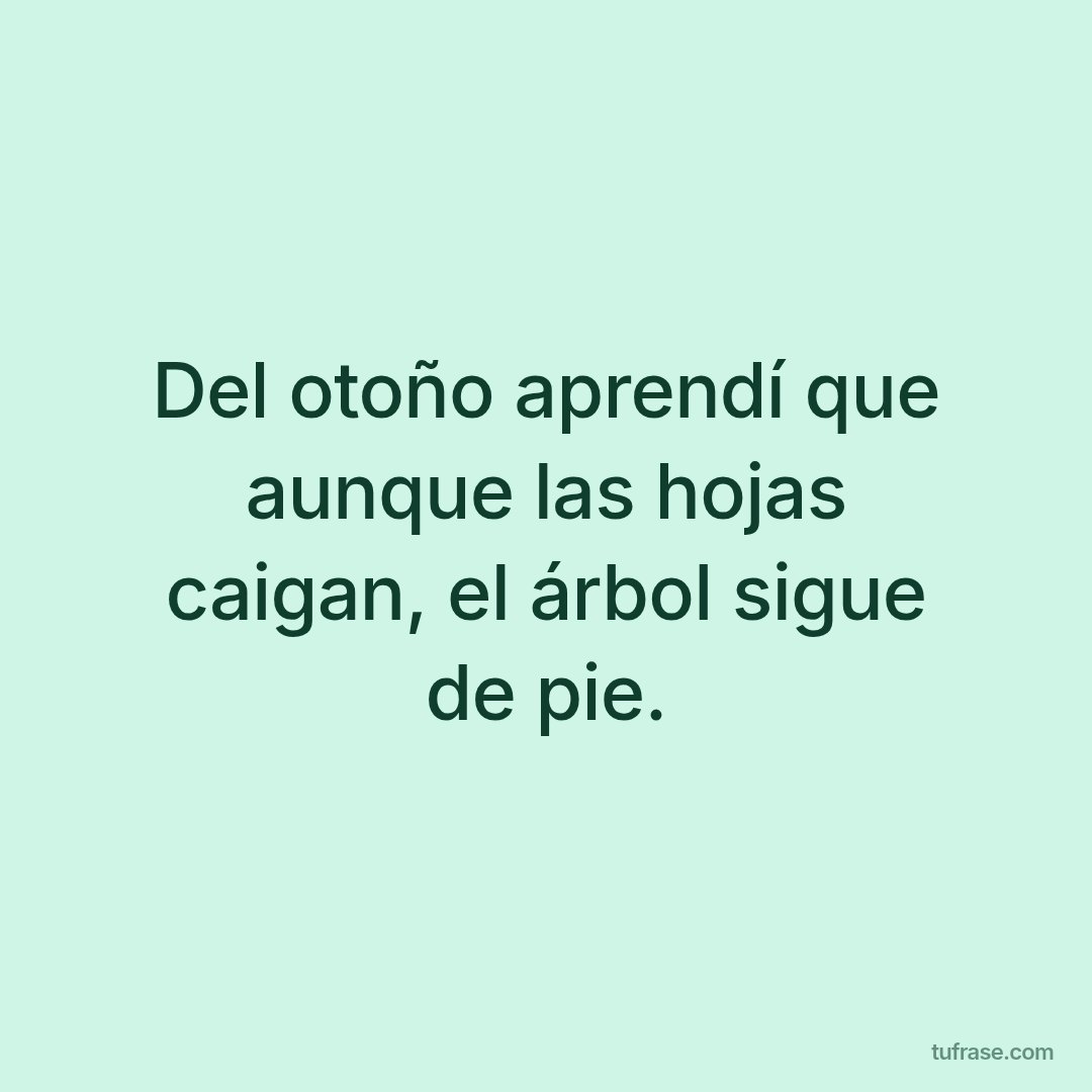 Del otoño aprendí que aunque las hojas caigan, el árbol sigue de pie.