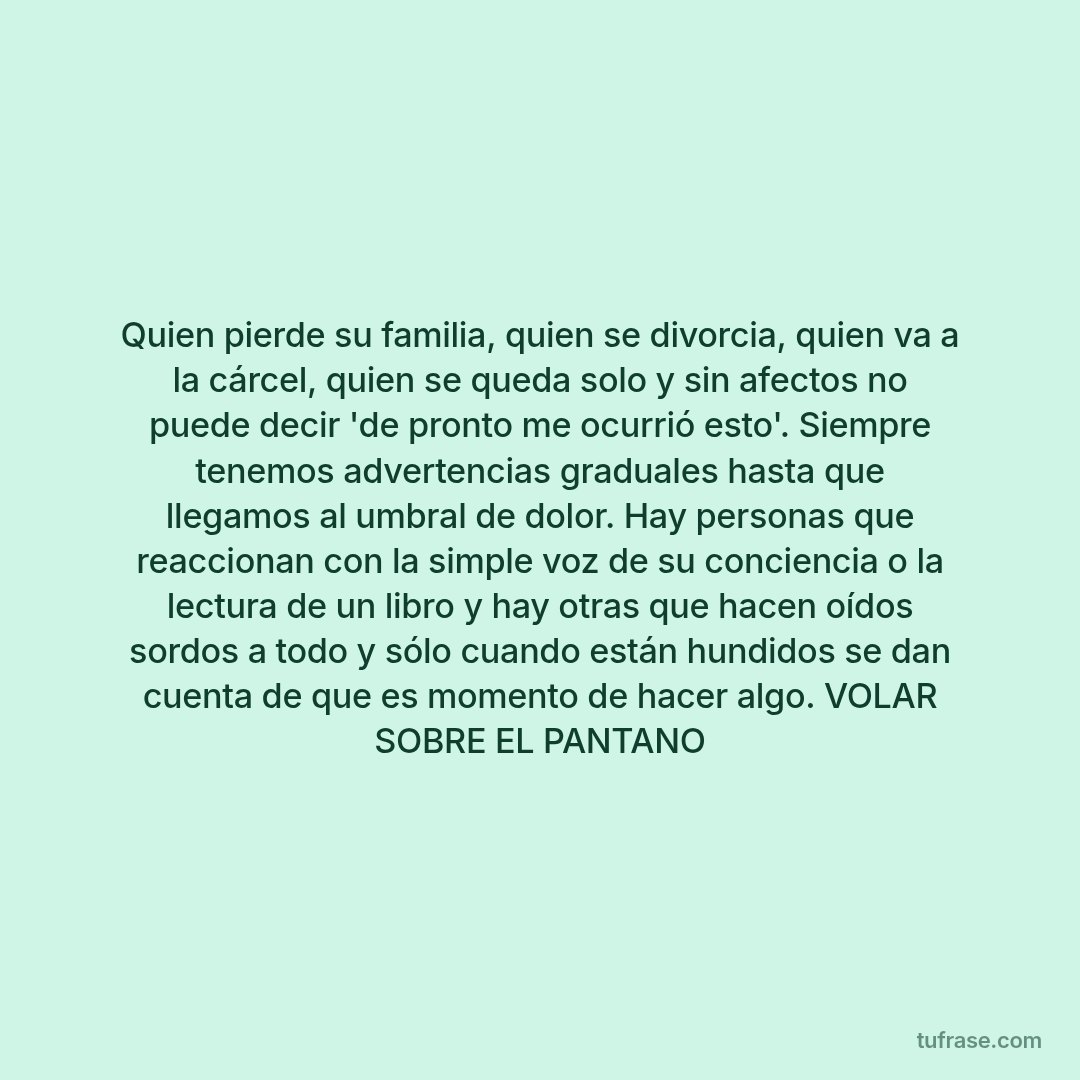 Quien pierde su familia, quien se divorcia, quien va a la cárcel, quien se queda solo y sin afectos no puede decir 'de pronto me ocurrió esto'. Siempre tenemos advertencias graduales hasta que llegamos al umbral de dolor. Hay personas que reaccionan con la simple voz de su conciencia o la lectura de un libro y hay otras que hacen oídos sordos a todo y sólo cuando están hundidos se dan cuenta de que es momento de hacer algo. VOLAR SOBRE EL PANTANO