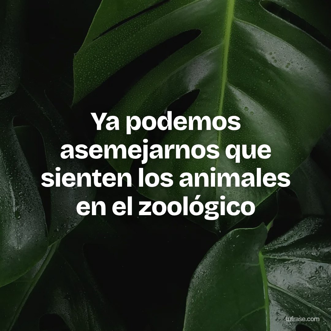 Ya podemos asemejarnos que sienten los animales en el zoológico