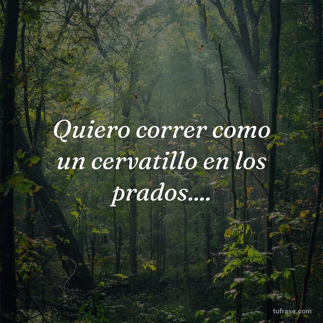 Quiero correr como un cervatillo en los prados....