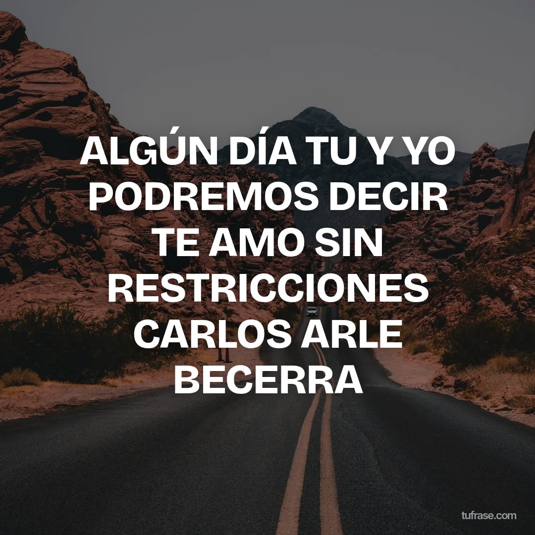 ALGÚN DÍA TU Y YO PODREMOS DECIR TE AMO SIN RESTRICCIONES CARLOS ARLE BECERRA