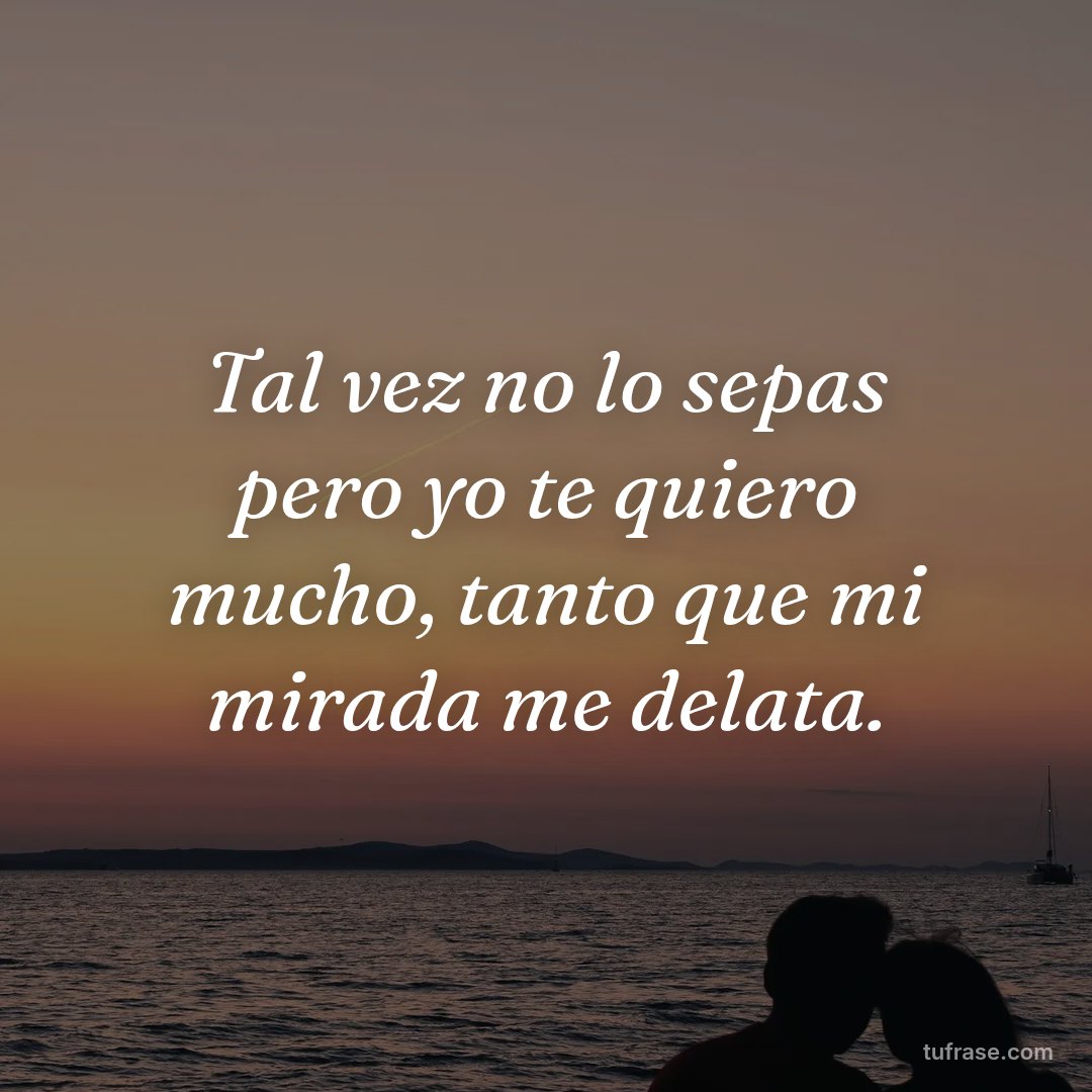 Tal vez no lo sepas pero yo te quiero mucho, tanto que mi mirada me delata.