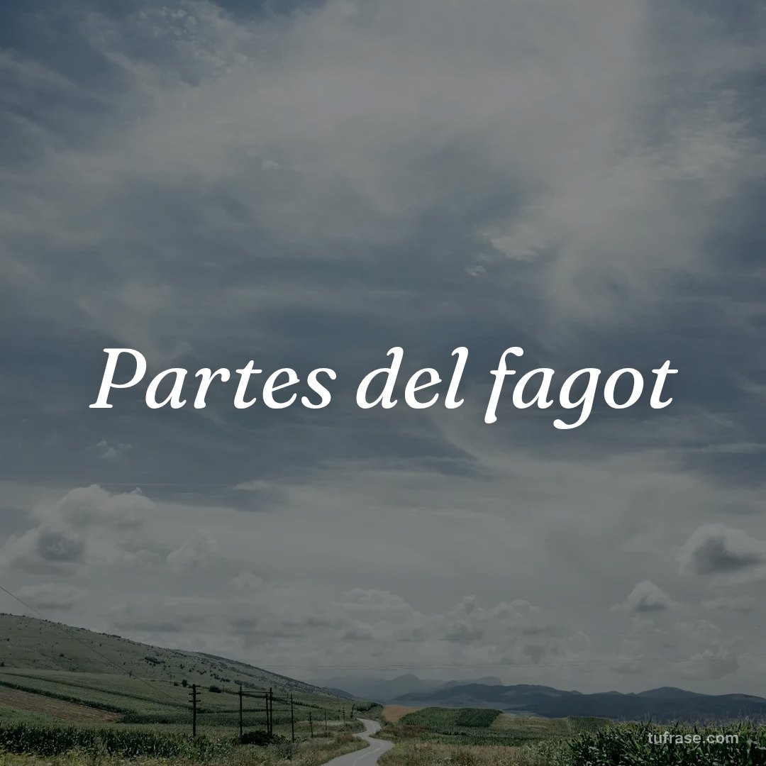 Partes del fagot