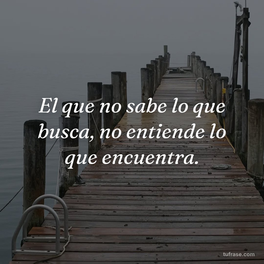 El que no sabe lo que busca, no entiende lo que encuentra.