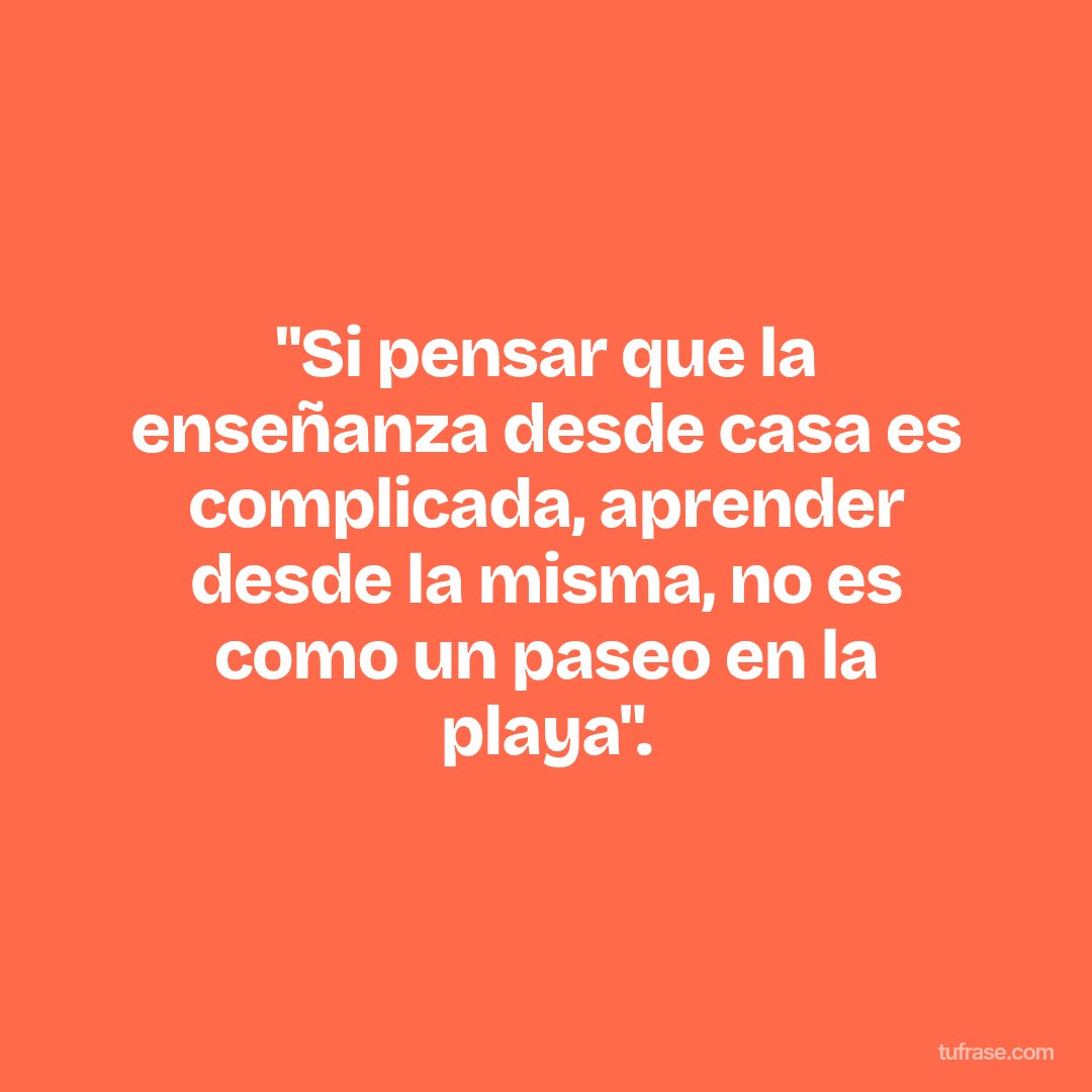 "Si pensar que la enseñanza desde casa es complicada, aprender desde la misma, no es como un paseo en la playa".