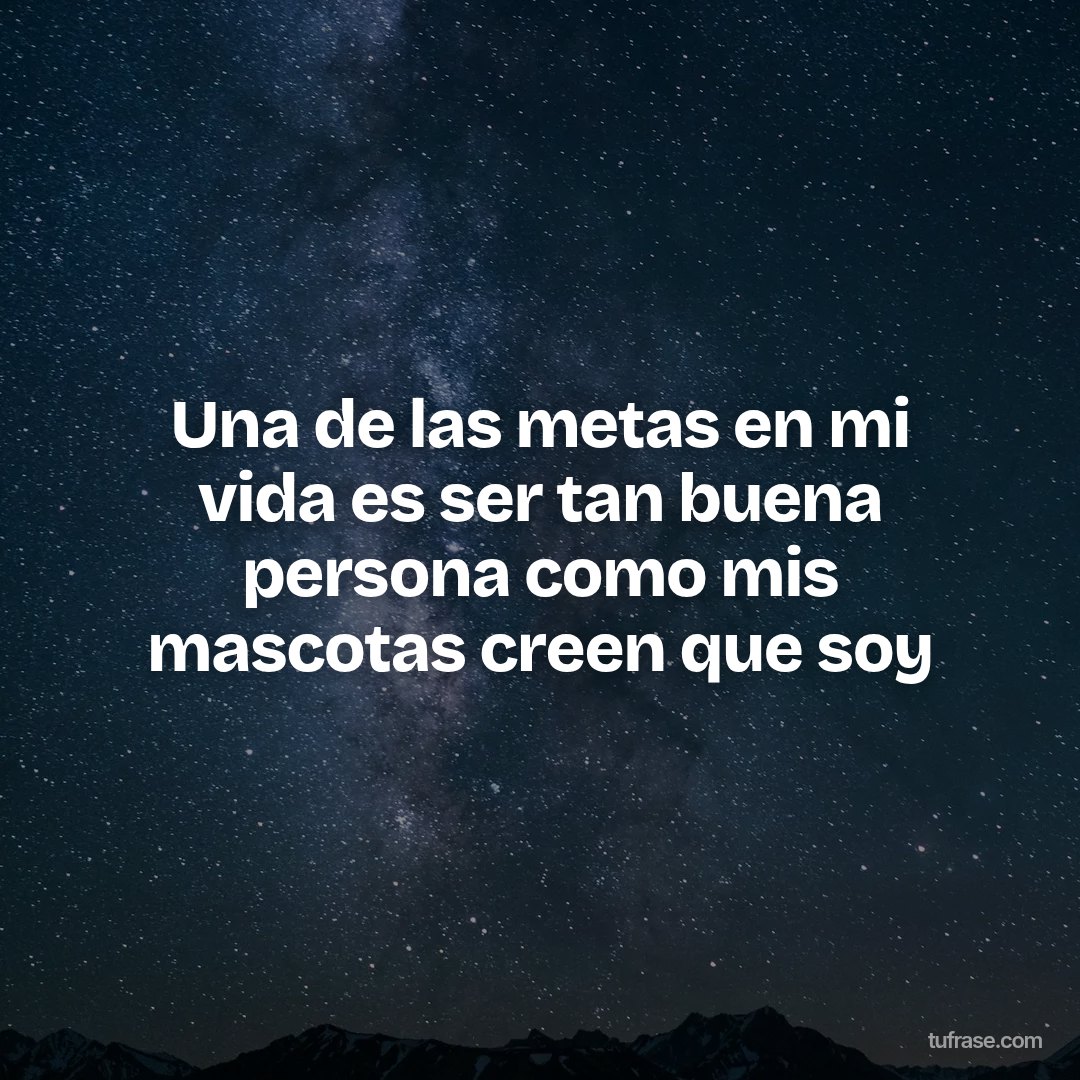 Una de las metas en mi vida es ser tan buena persona como mis mascotas creen que soy