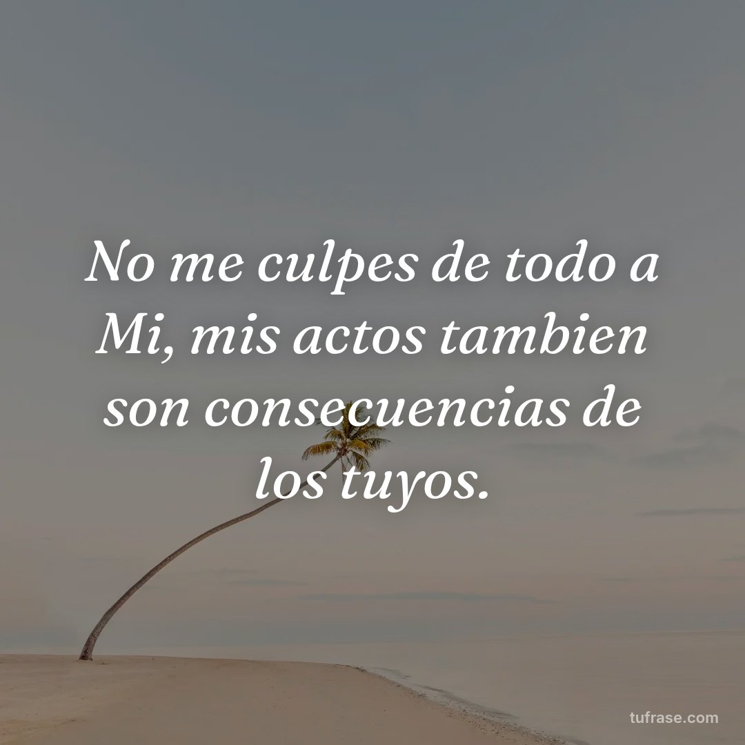 No me culpes de todo a Mi, mis actos tambien son consecuencias de los tuyos.