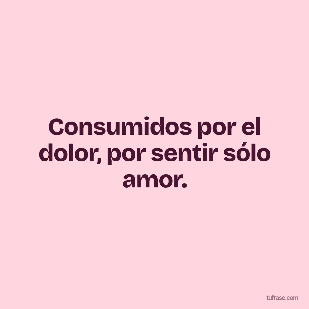 Consumidos por el dolor, por sentir sólo amor.