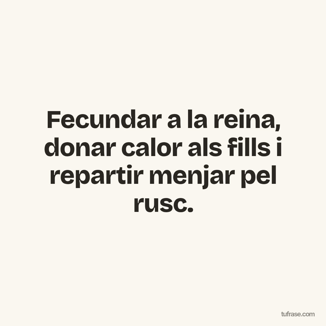Fecundar a la reina, donar calor als fills i repartir menjar pel rusc.