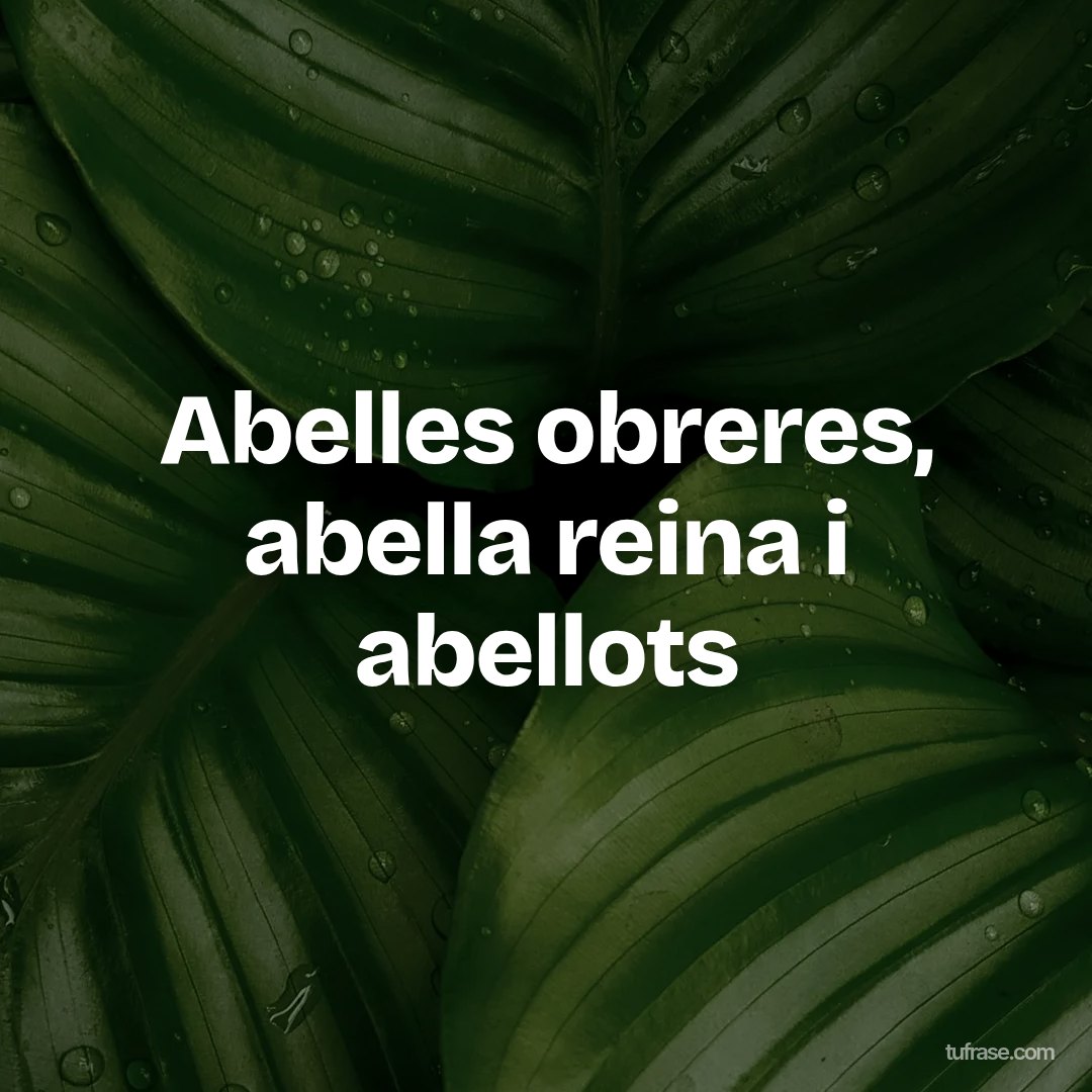 Abelles obreres, abella reina i abellots