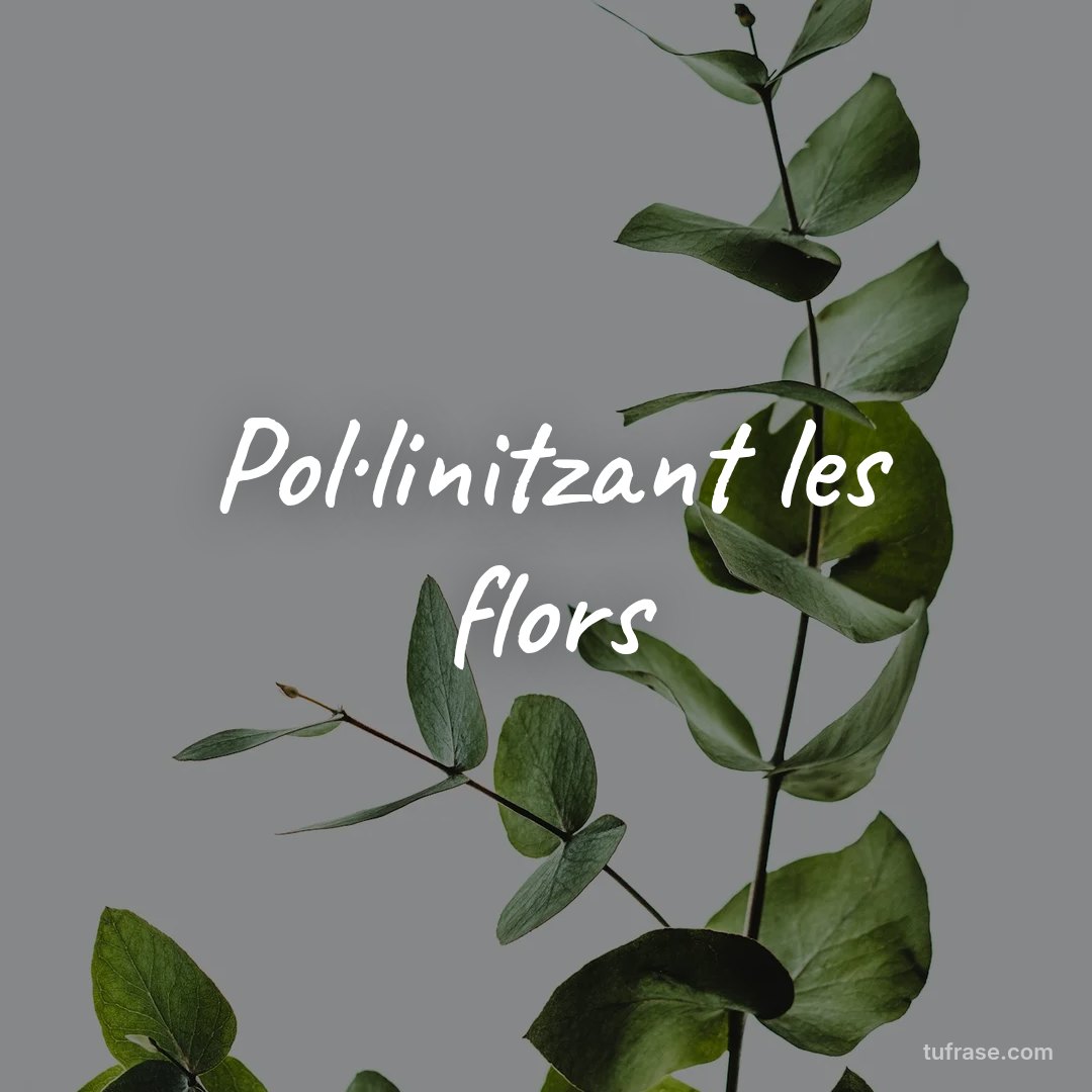 Pol·linitzant les flors