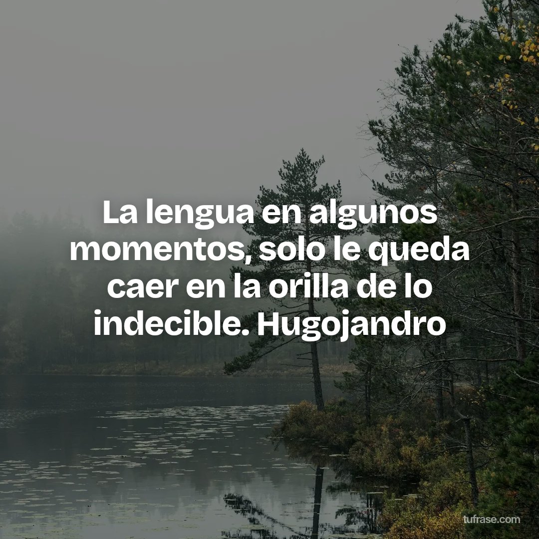 La lengua en algunos momentos, solo le queda caer en la orilla de lo indecible. Hugojandro