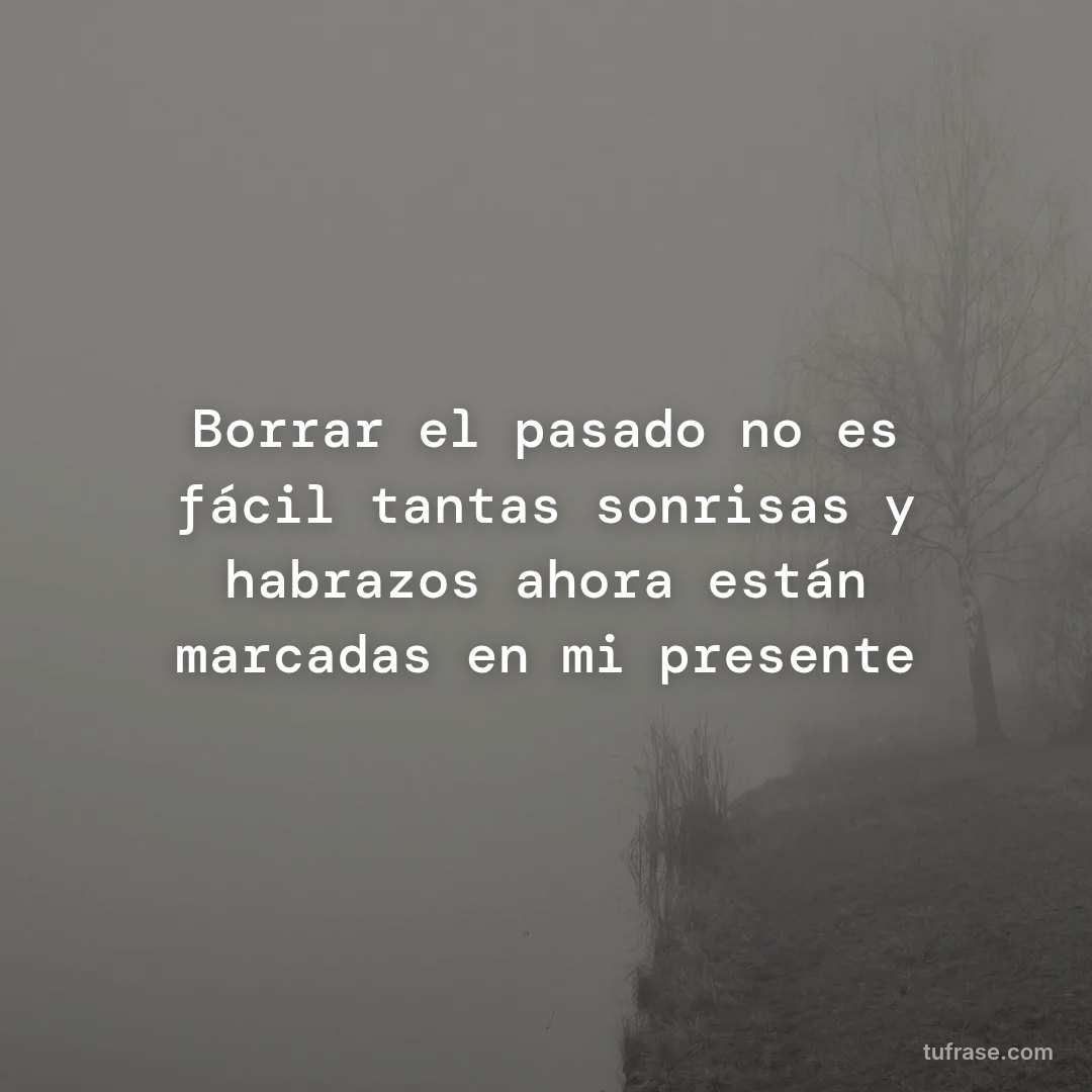Borrar el pasado no es fácil tantas sonrisas y habrazos ahora están marcadas en mi presente
