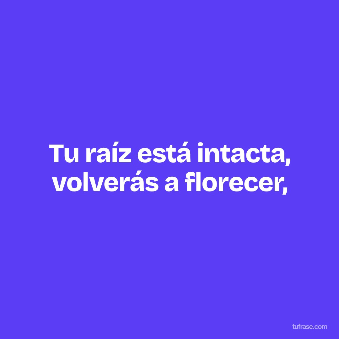 Tu raíz está intacta, volverás a florecer,