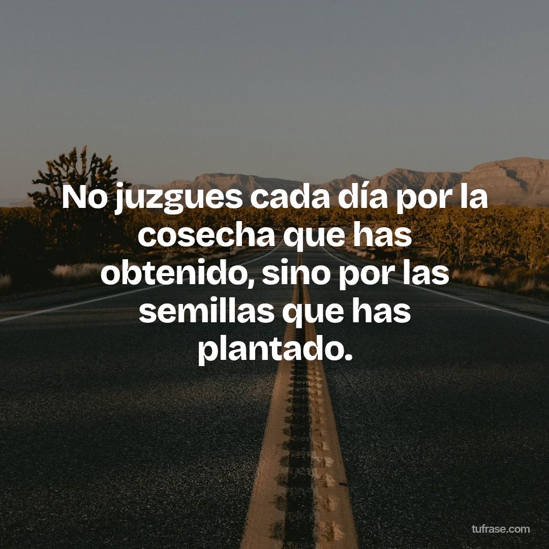 No juzgues cada día por la cosecha que has obtenido, sino por las semillas que has plantado.