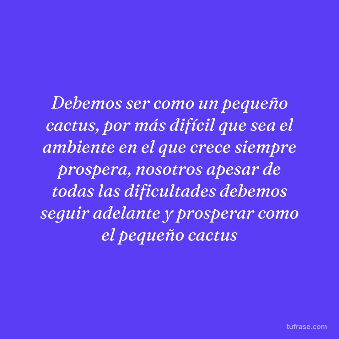 Debemos ser como un pequeño cactus, por más difícil que sea el ambiente en el que crece siempre prospera, nosotros apesar de todas las dificultades debemos seguir adelante y prosperar como el pequeño cactus
