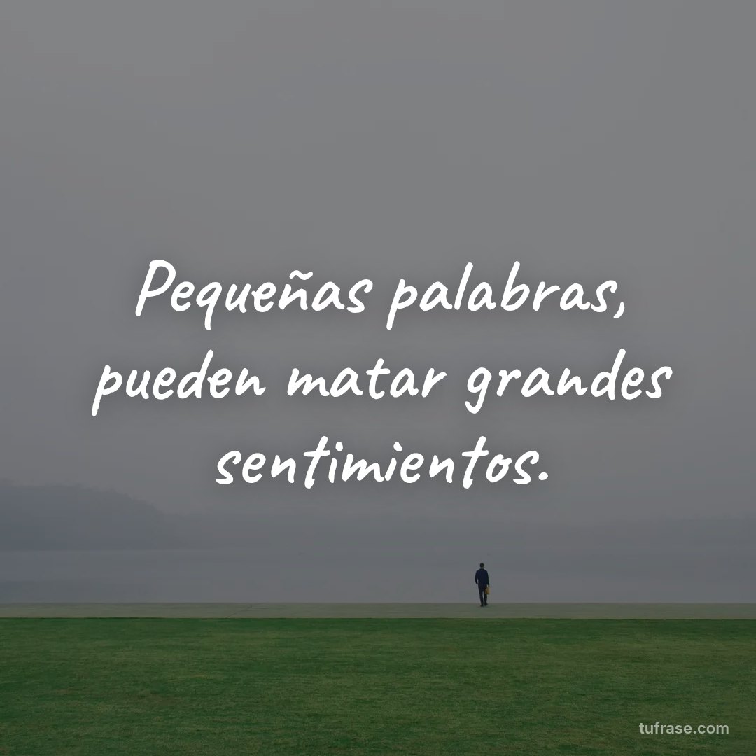 Pequeñas palabras, pueden matar grandes sentimientos.