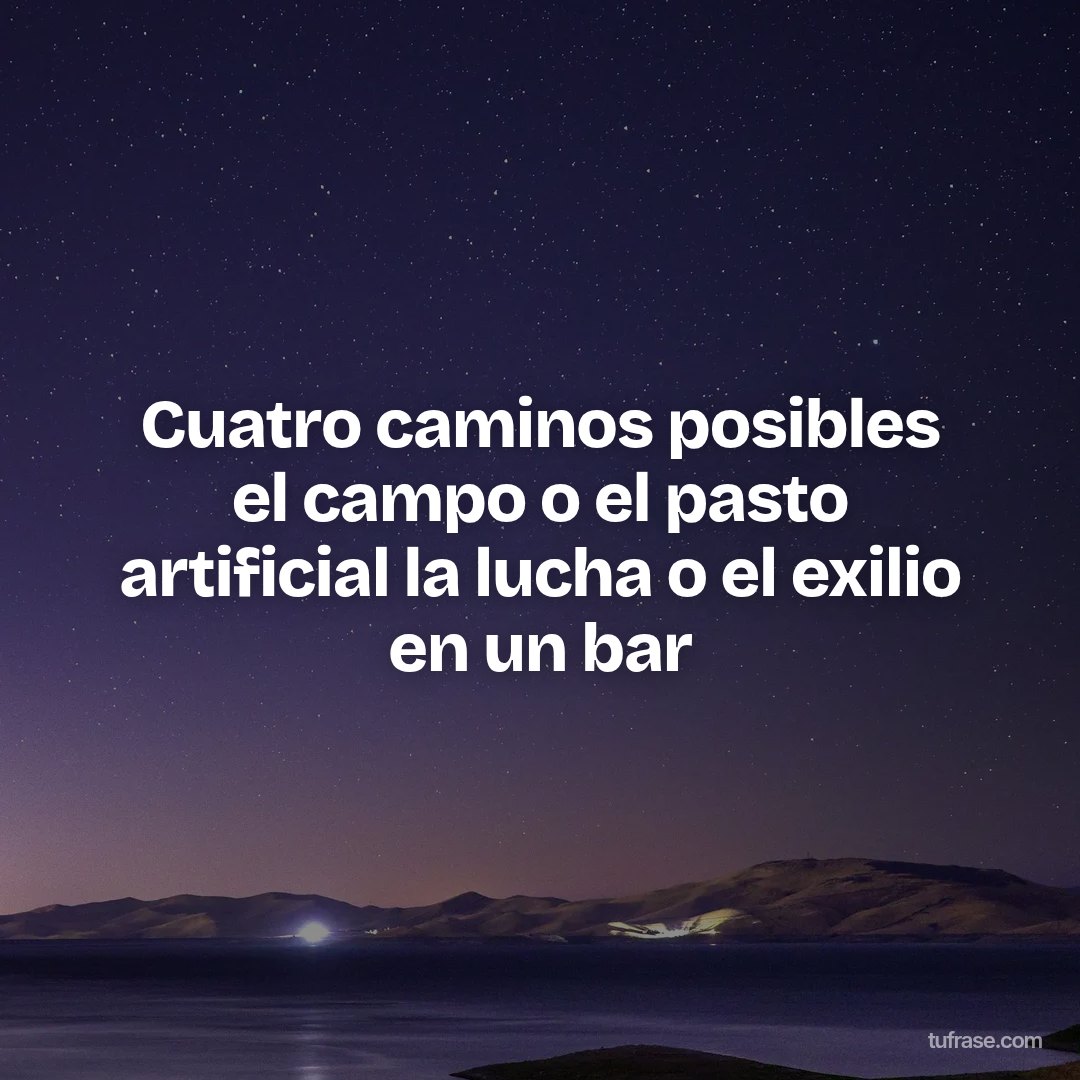 Cuatro caminos posibles el campo o el pasto artificial la lucha o el exilio en un bar