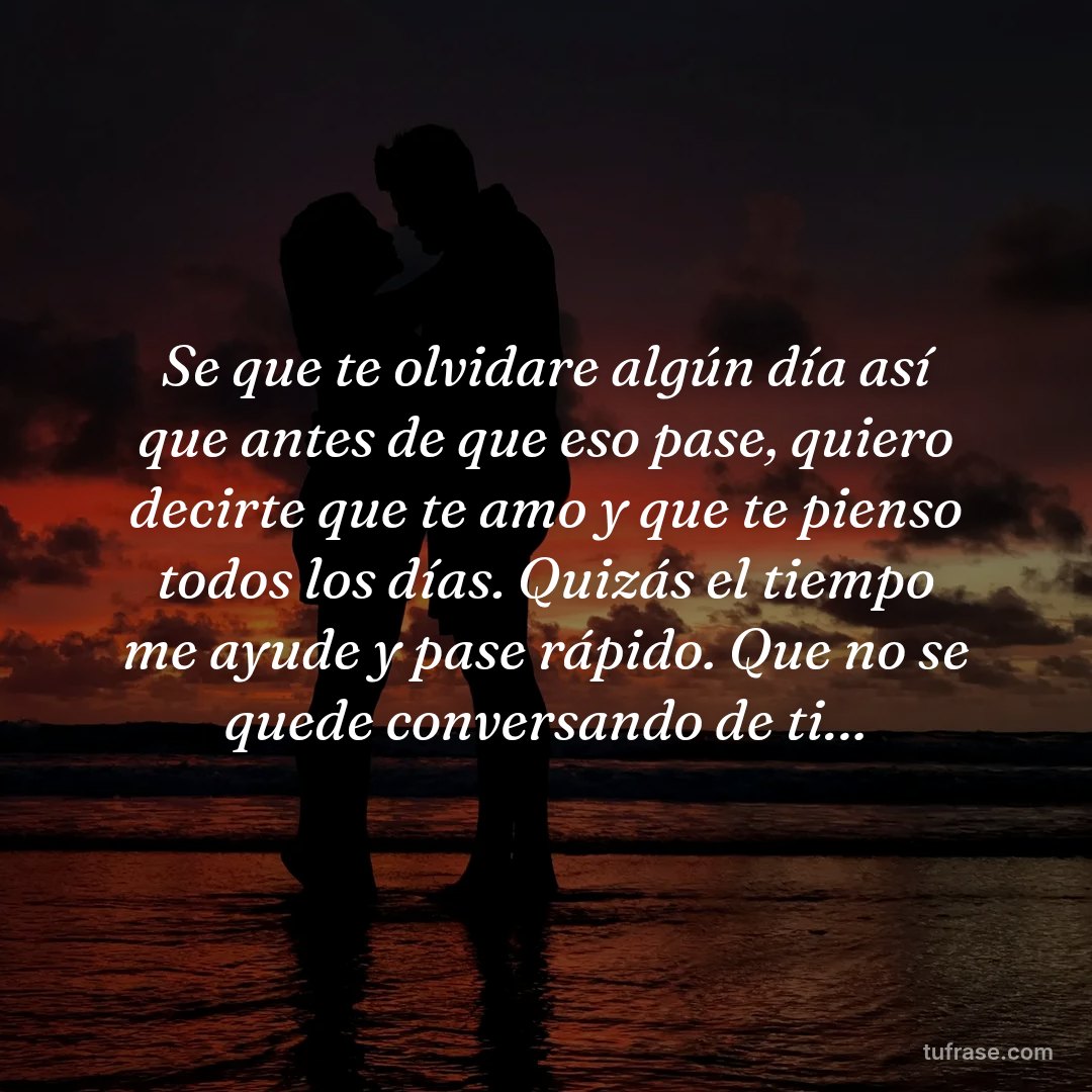 Se que te olvidare algún día así que antes de que eso pase, quiero decirte que te amo y que te pienso todos los días. Quizás el tiempo me ayude y pase rápido. Que no se quede conversando de ti…