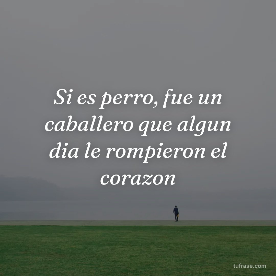 Si es perro, fue un caballero que algun dia le rompieron el corazon