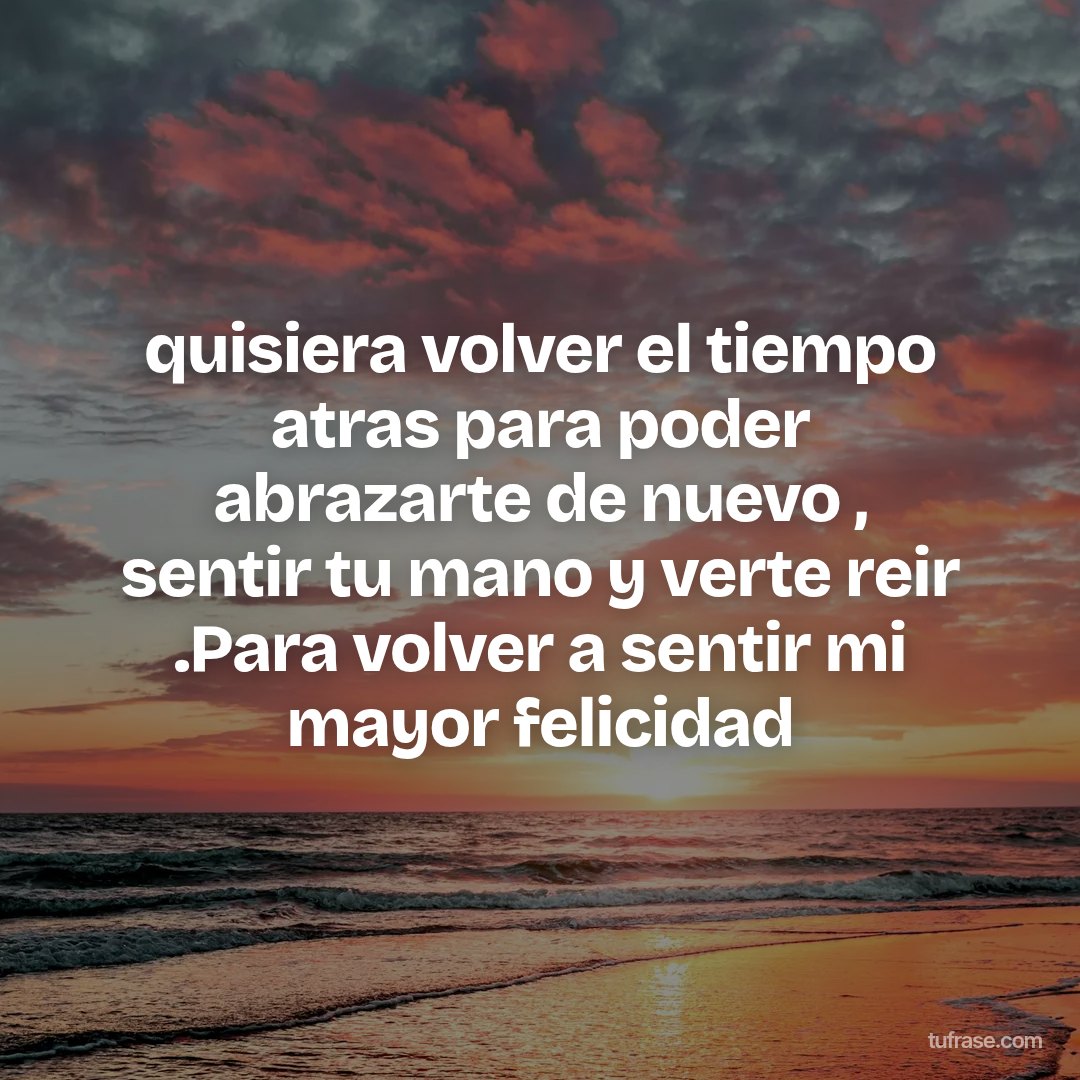quisiera volver el tiempo atras para poder abrazarte de nuevo , sentir tu mano y verte reir .Para volver a sentir mi mayor felicidad