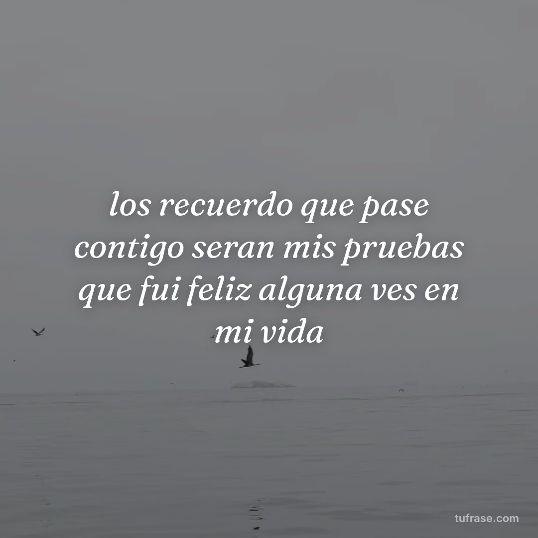 los recuerdo que pase contigo seran mis pruebas que fui feliz alguna ves en mi vida