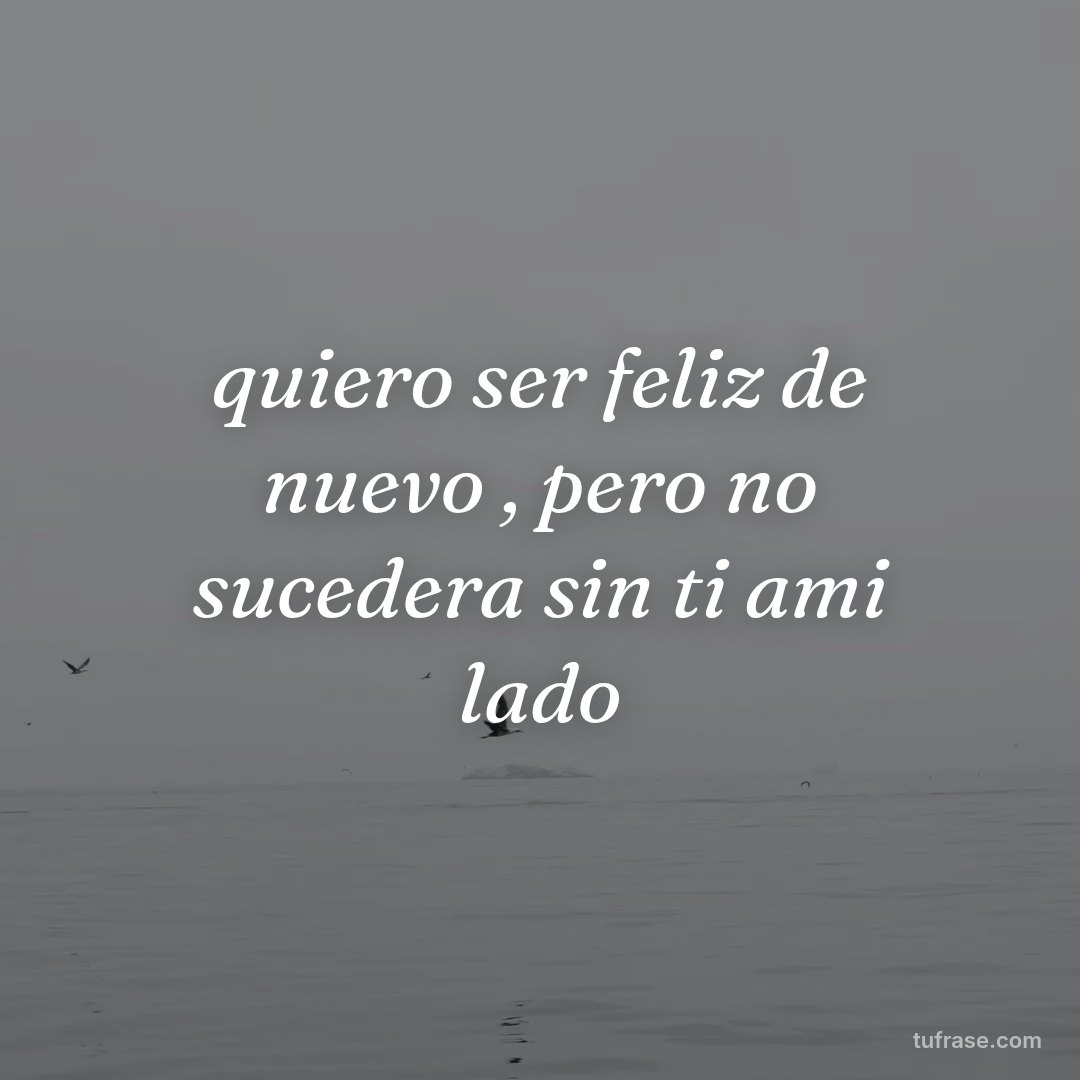 quiero ser feliz de nuevo , pero no sucedera sin ti ami lado