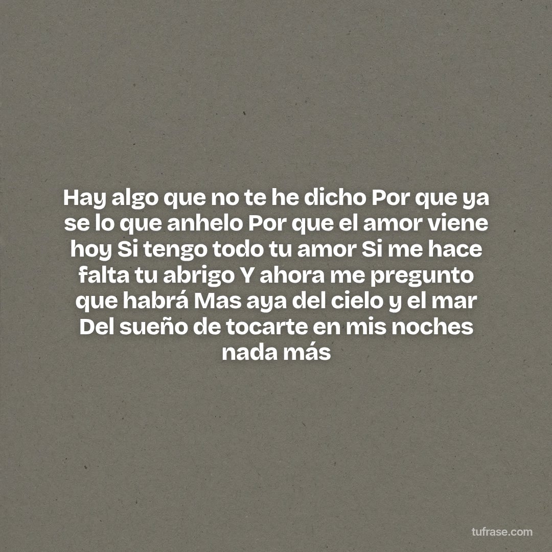 Hay algo que no te he dicho Por que ya se lo que anhelo Por que el amor viene hoy Si tengo todo tu amor Si me hace falta tu abrigo Y ahora me pregunto que habrá Mas aya del cielo y el mar Del sueño de tocarte en mis noches nada más