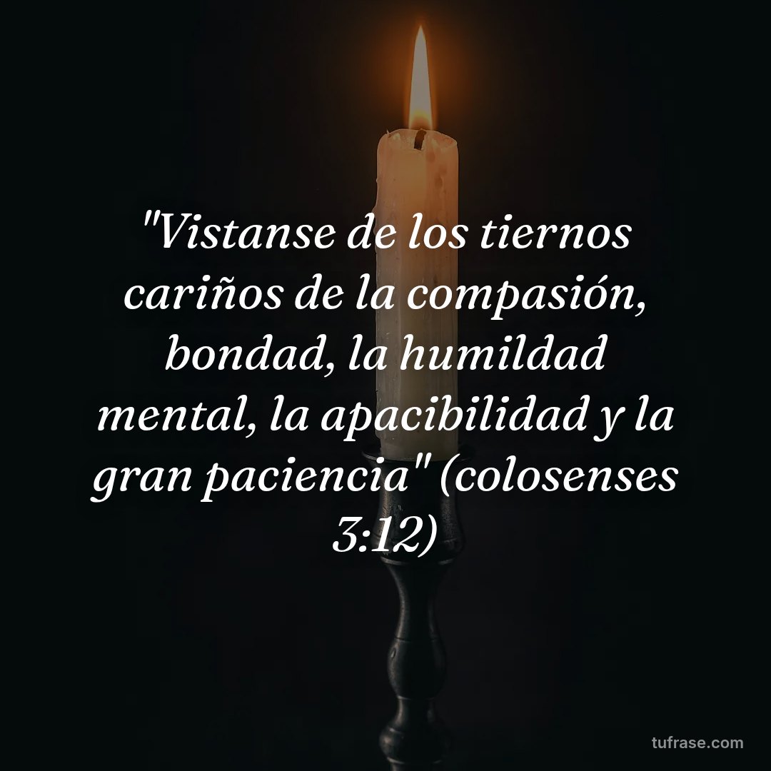 "Vistanse de los tiernos cariños de la compasión, bondad, la humildad mental, la apacibilidad y la gran paciencia" (colosenses 3:12)