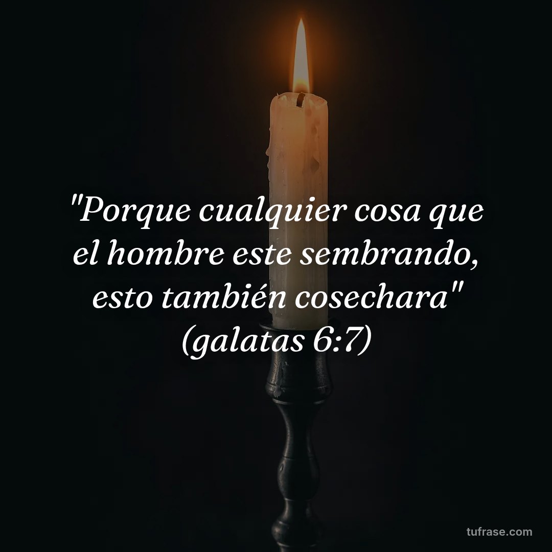 "Porque cualquier cosa que el hombre este sembrando, esto también cosechara" (galatas 6:7)