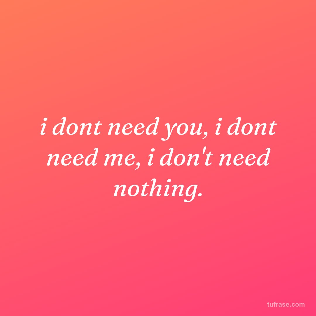 i dont need you, i dont need me, i don't need nothing.
