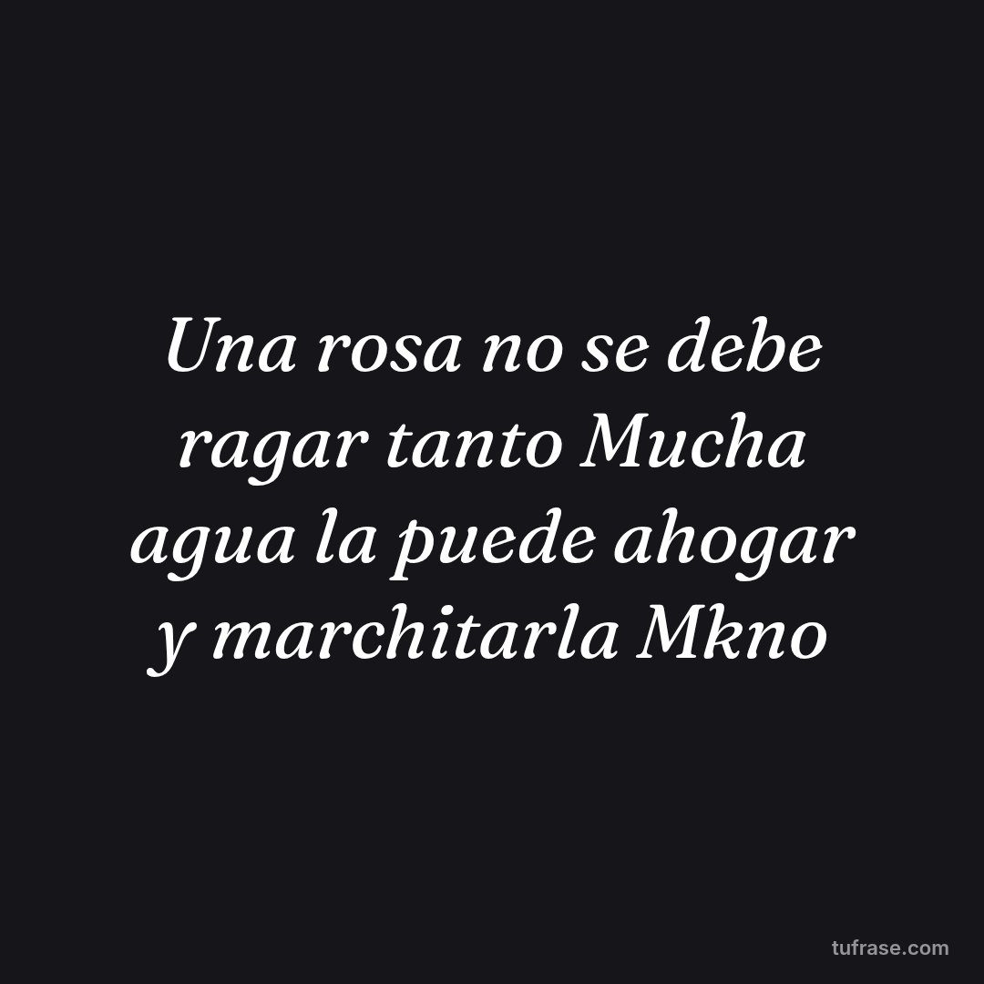 Una rosa no se debe ragar tanto Mucha agua la puede ahogar y marchitarla Mkno