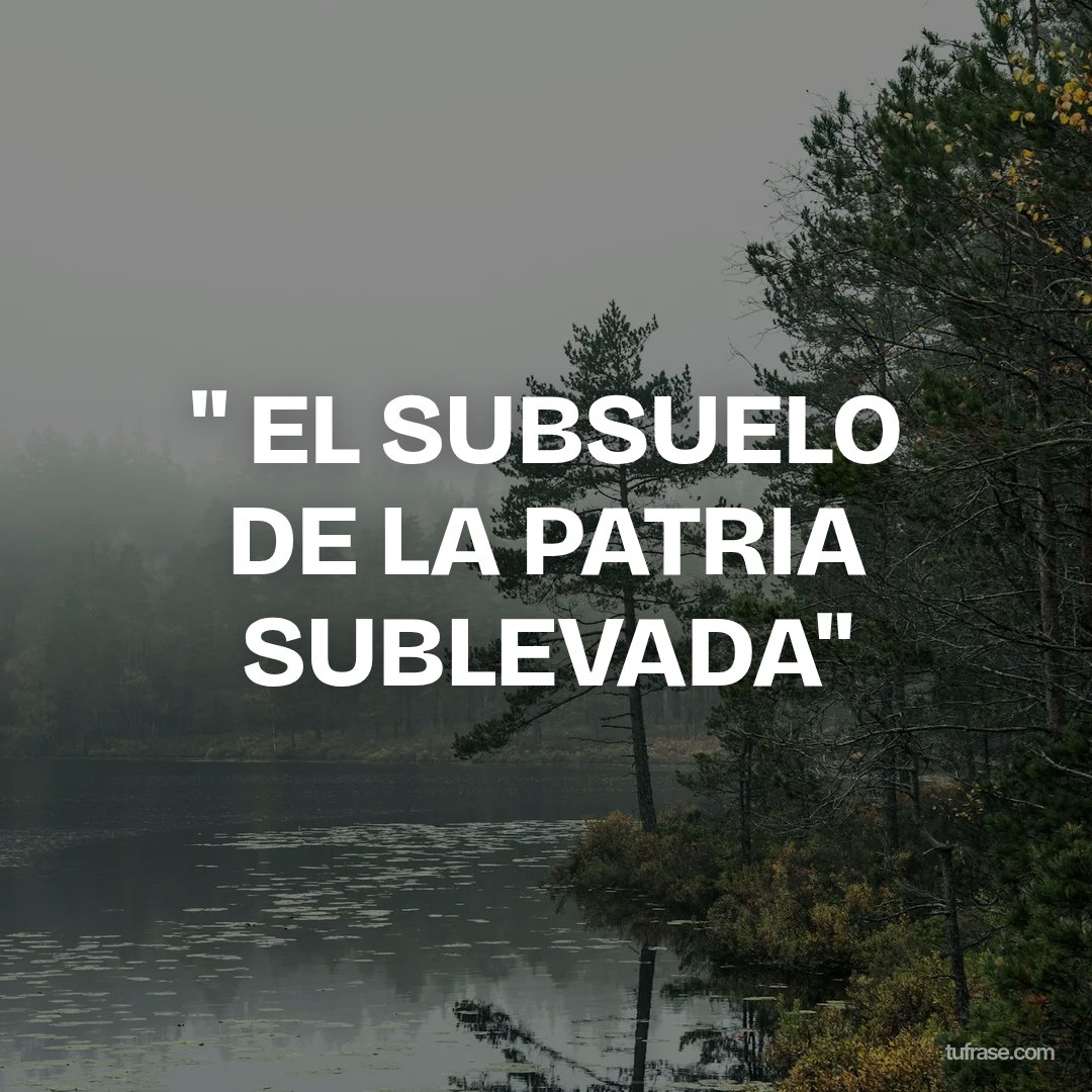 " EL SUBSUELO DE LA PATRIA SUBLEVADA"