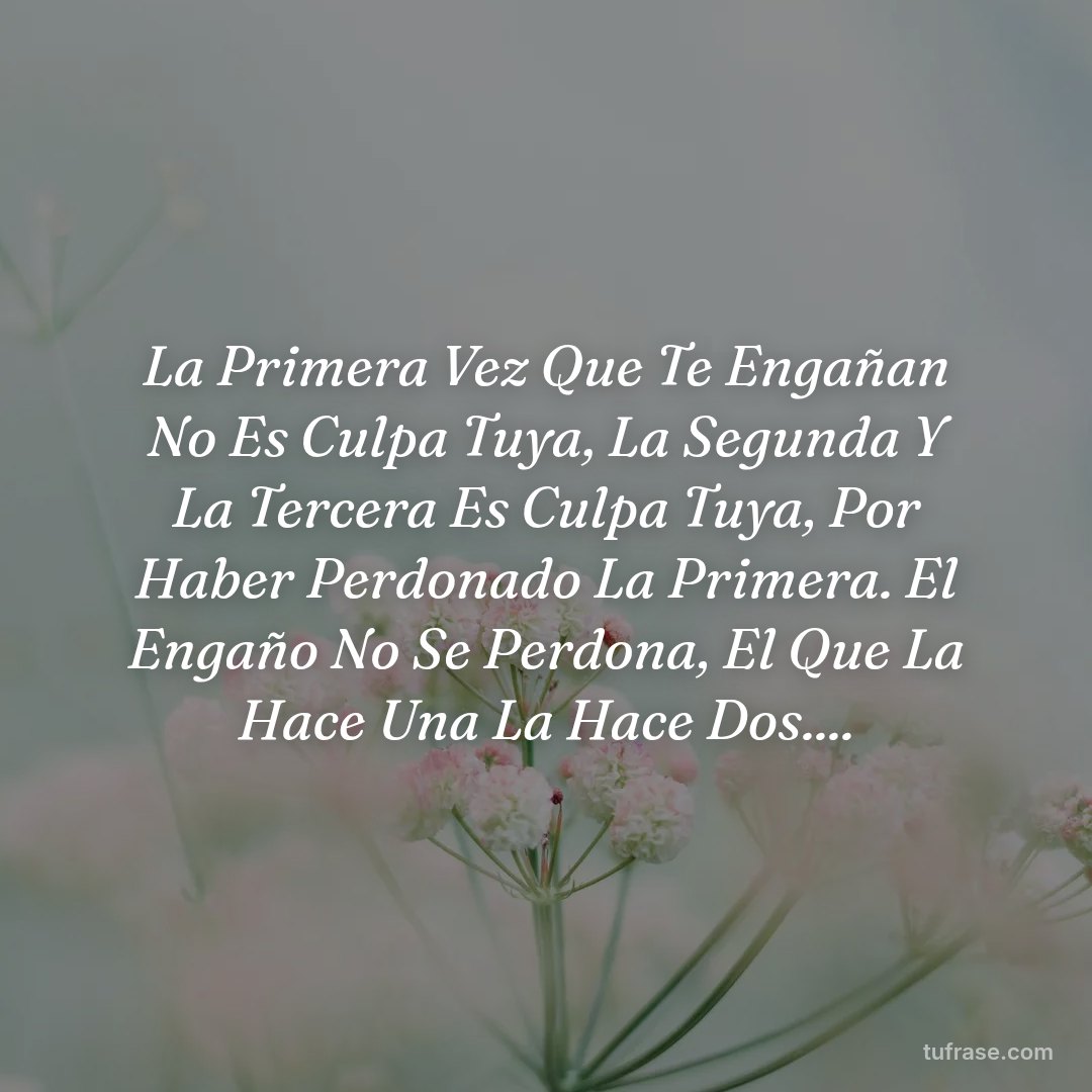 La Primera Vez Que Te Engañan No Es Culpa Tuya, La Segunda Y La Tercera Es Culpa Tuya, Por Haber Perdonado La Primera. El Engaño No Se Perdona, El Que La Hace Una La Hace Dos....