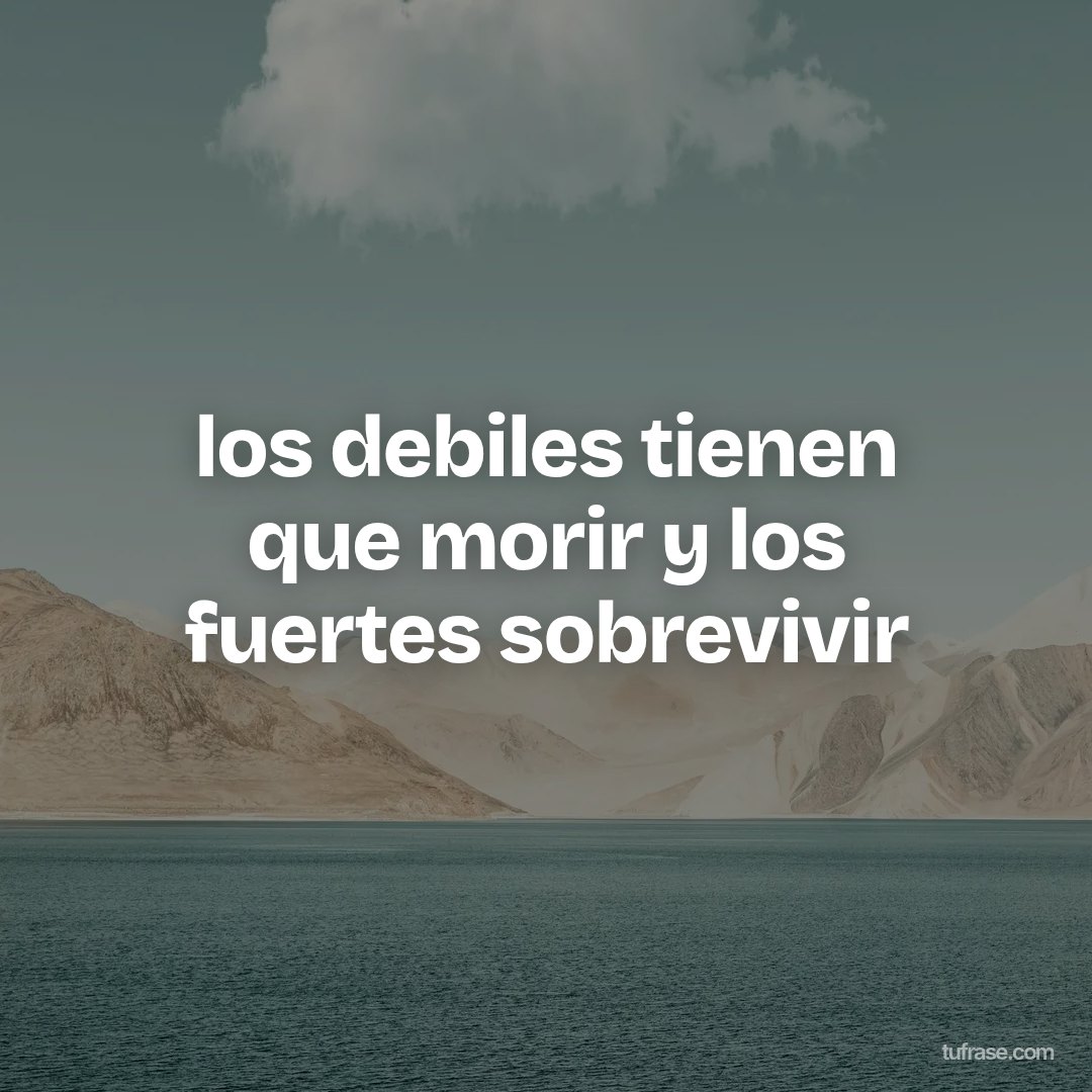 los debiles tienen que morir y los fuertes sobrevivir