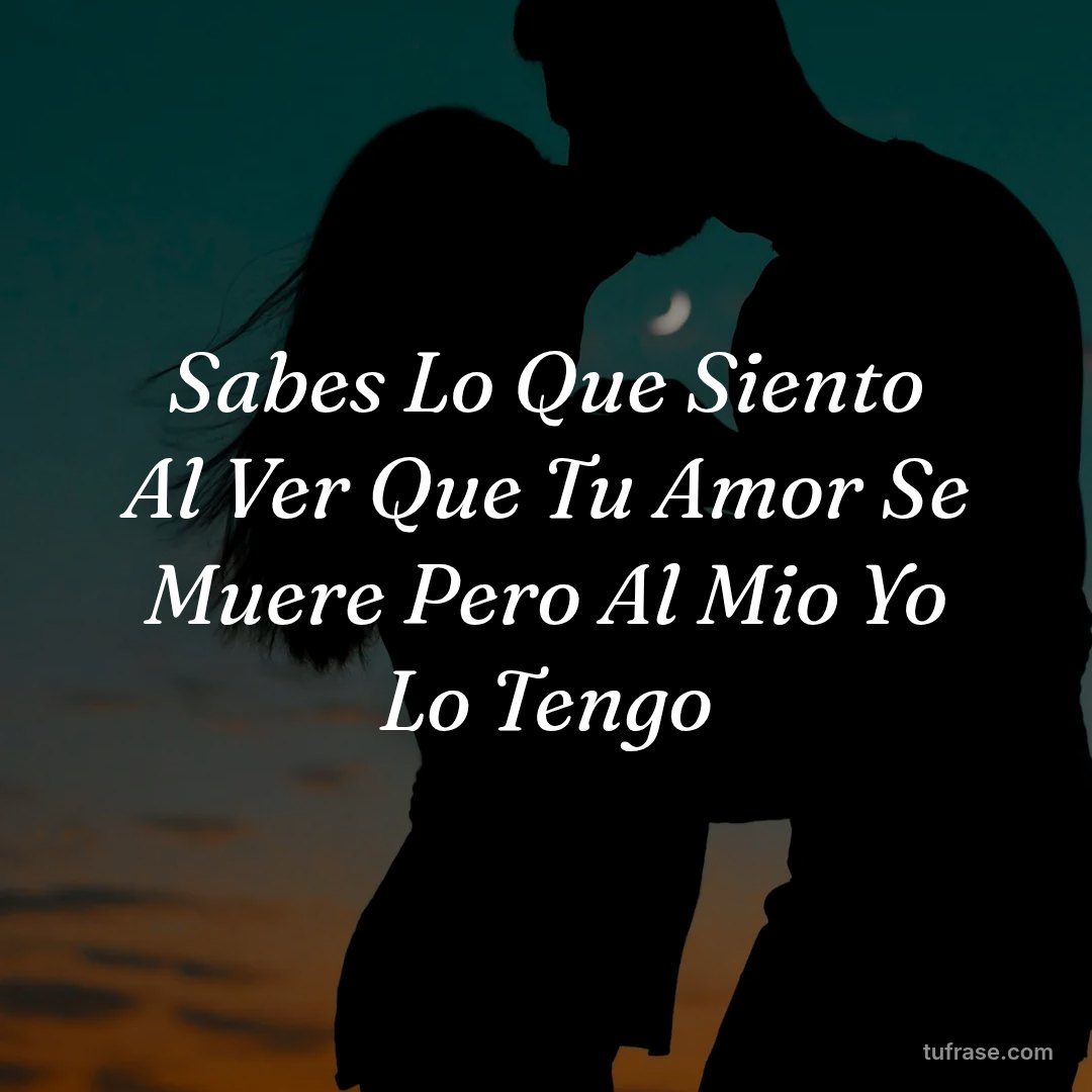 Sabes Lo Que Siento Al Ver Que Tu Amor Se Muere Pero Al Mio Yo Lo Tengo