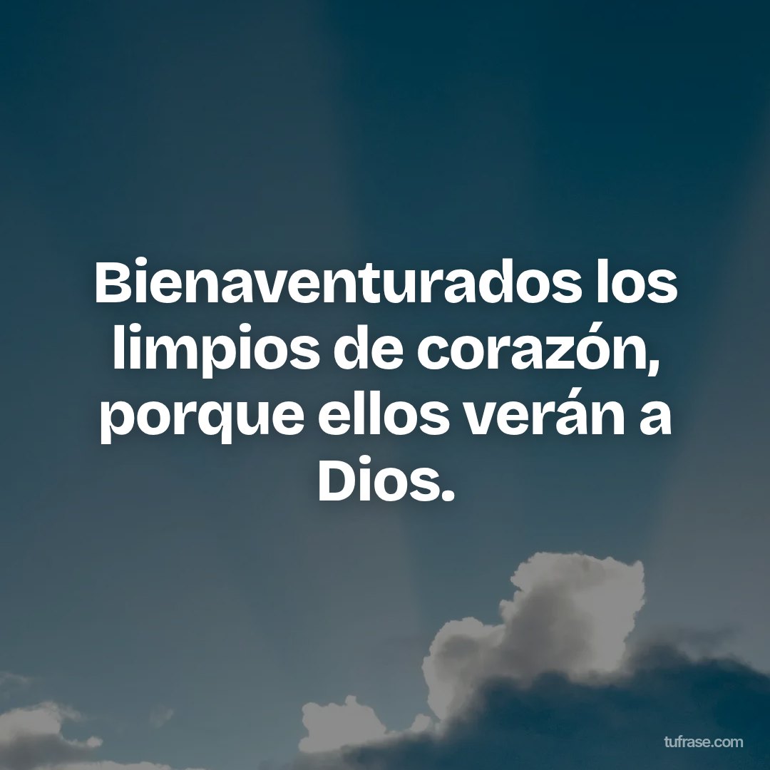 Bienaventurados los limpios de corazón, porque ellos verán a Dios.